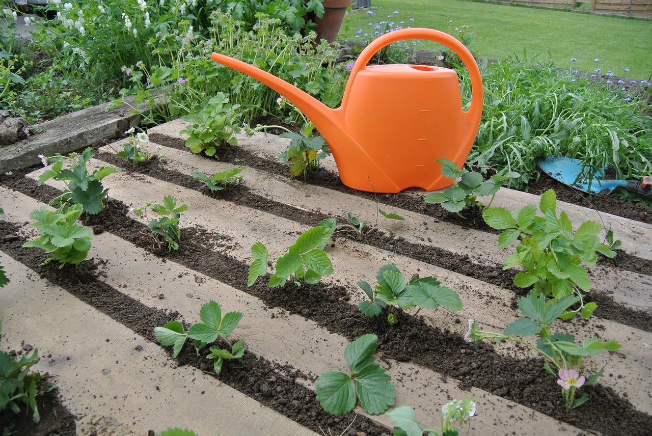 Best ideas about Strawberry Garden Ideas
. Save or Pin 10 Brilliant Strawberry Garden Ideas A Green Hand Now.