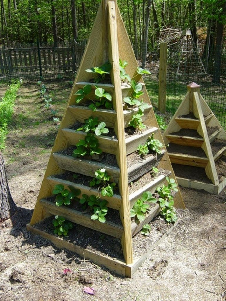 Best ideas about Strawberry Garden Ideas
. Save or Pin How To Make A Strawberry Pyramid Planter Now.