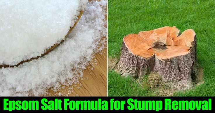 Best ideas about Stump Removal DIY
. Save or Pin 1000 ideas about Stump Removal on Pinterest Now.