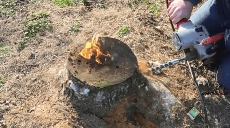 Best ideas about Stump Removal DIY
. Save or Pin The Easiest Way To Remove A Stump This Procedure Is Now.