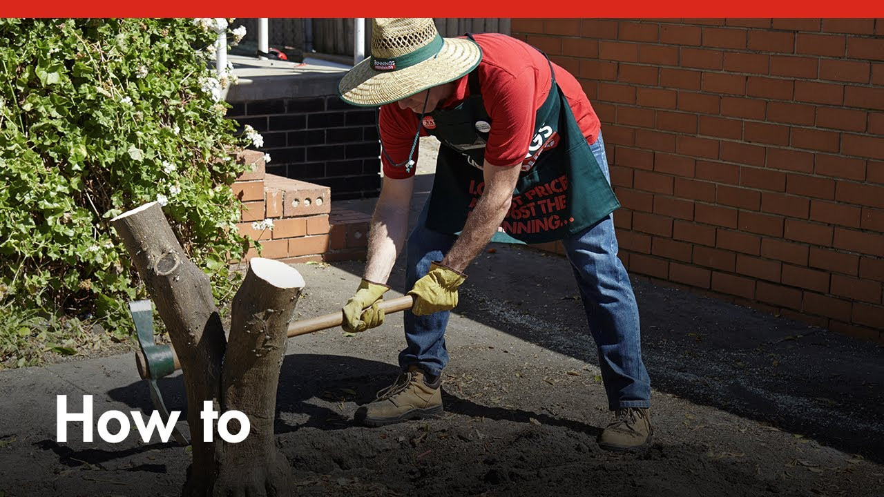 Best ideas about Stump Removal DIY
. Save or Pin How To Remove Tree Stumps DIY At Bunnings Now.