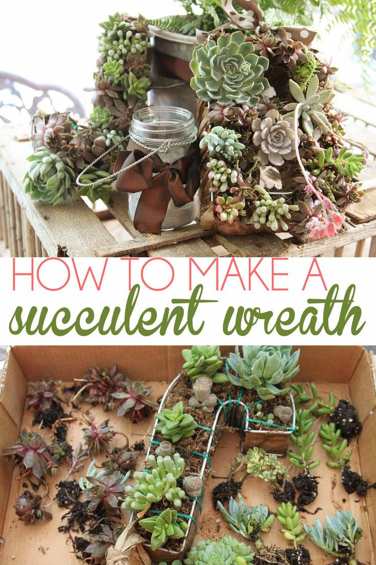 Best ideas about Succulent Gift Ideas
. Save or Pin Craftaholics Anonymous Now.