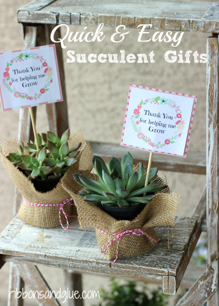 Best ideas about Succulent Gift Ideas
. Save or Pin Easy Succulent Gift Idea with Printable Now.