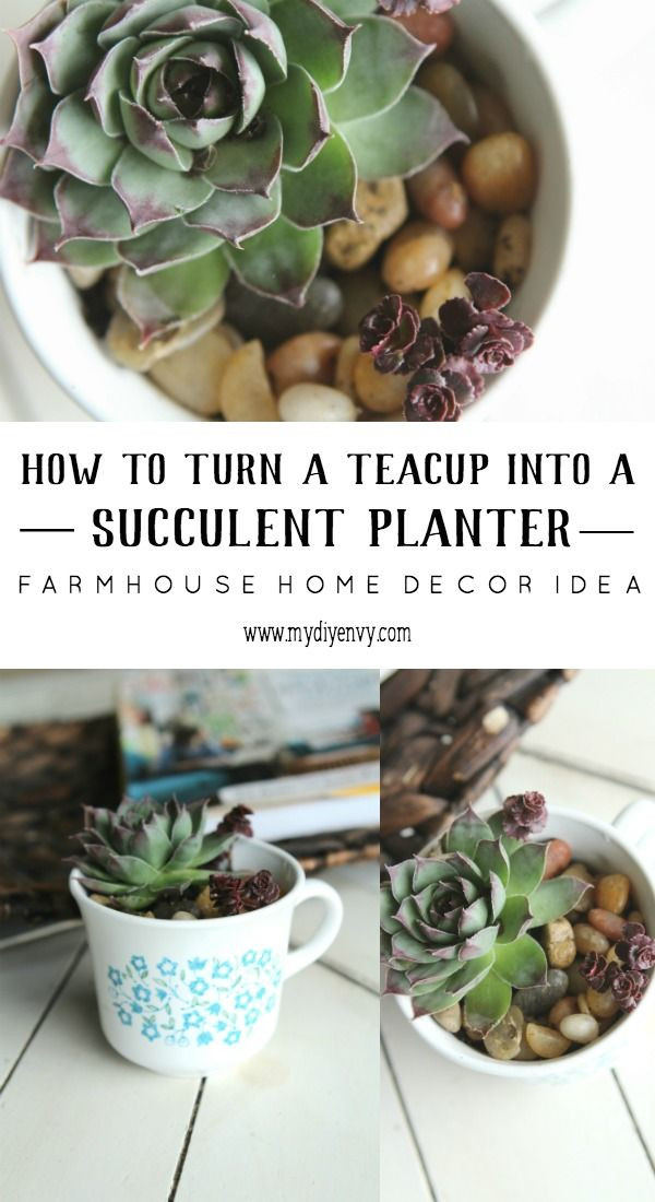 Best ideas about Succulent Gift Ideas
. Save or Pin 17 Best ideas about Succulent Gifts on Pinterest Now.