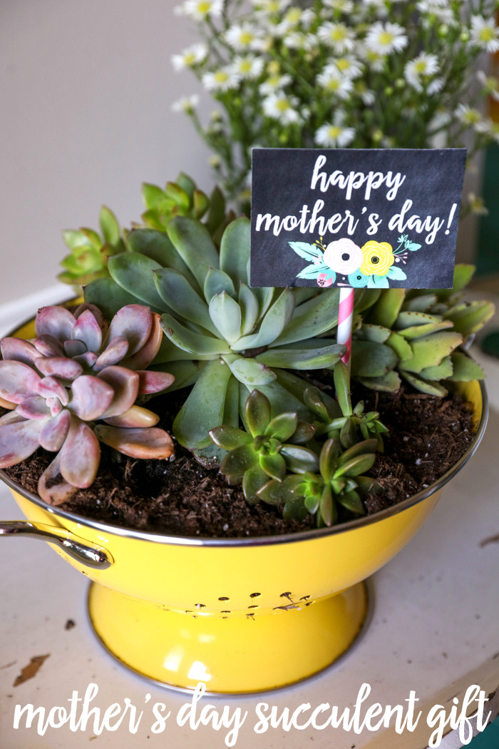 Best ideas about Succulent Gift Ideas
. Save or Pin DIY Key Fobs Now.