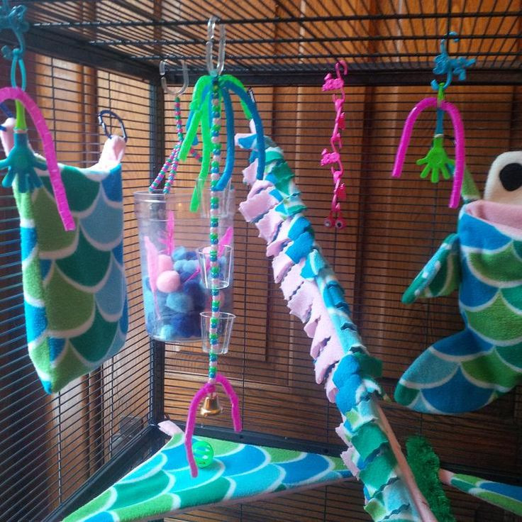 Best ideas about Sugar Glider Toys DIY
. Save or Pin 25 best ideas about Sugar Glider Toys on Pinterest Now.