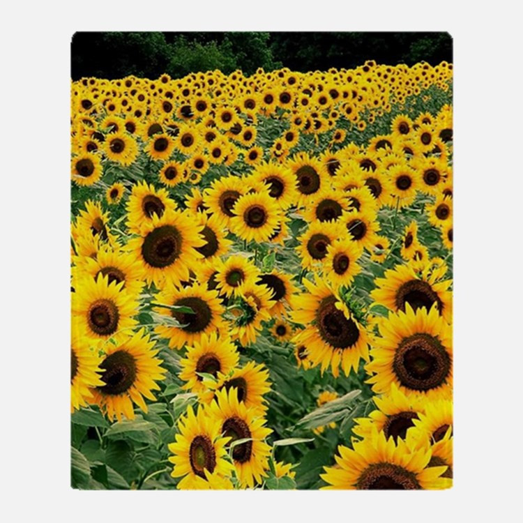 Best ideas about Sunflower Gift Ideas
. Save or Pin Sunflower Gifts & Merchandise Now.