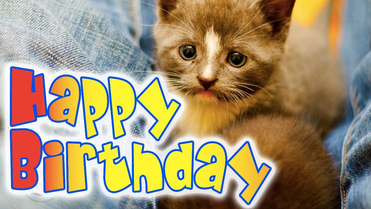 Best ideas about There's A Cat Licking Your Birthday Cake Lyrics
. Save or Pin Happy Birthday Kitten A super cute kitty birthday ecard Now.