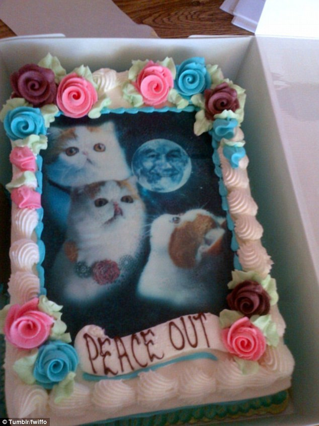 Best ideas about There's A Cat Licking Your Birthday Cake Lyrics
. Save or Pin s show the tasteless cakes that no one ever needed in Now.