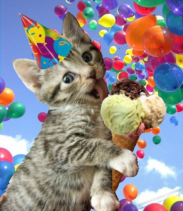 Best ideas about There's A Cat Licking Your Birthday Cake Lyrics
. Save or Pin Best 25 Cat happy birthday meme ideas on Pinterest Now.