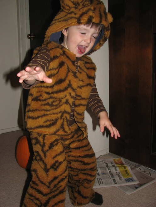 Best ideas about Tiger Costume DIY
. Save or Pin 80 best images about tigers on Pinterest Now.
