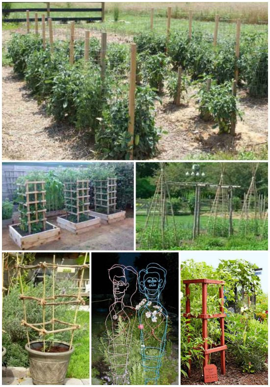 Best ideas about Tomato Cages DIY
. Save or Pin 18 DIY Tomato Cages For Your Garden Now.