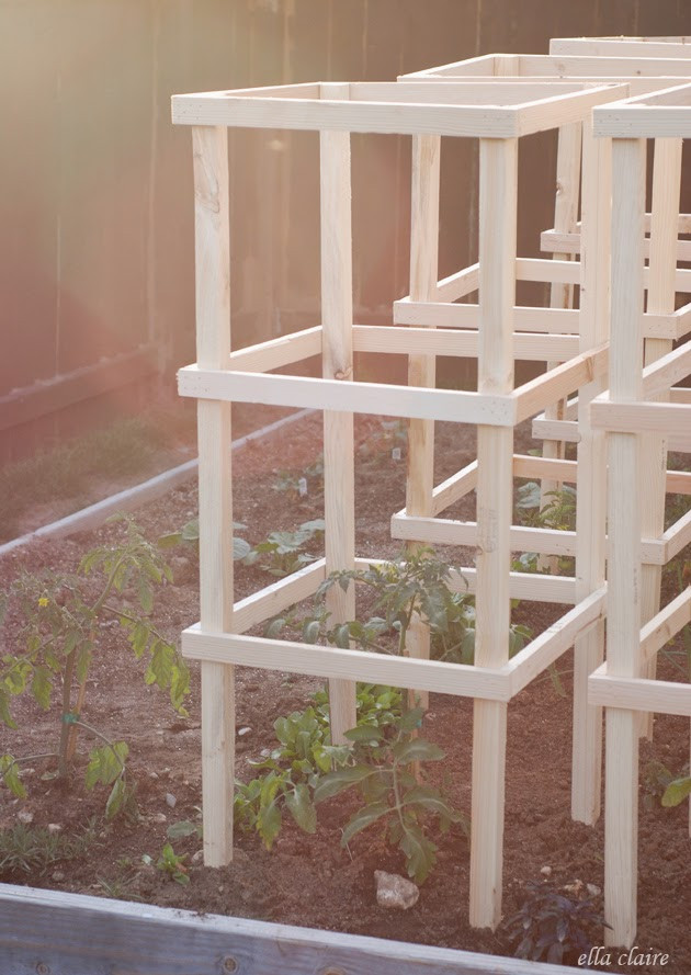 Best ideas about Tomato Cages DIY
. Save or Pin DIY Tomato Cage Now.