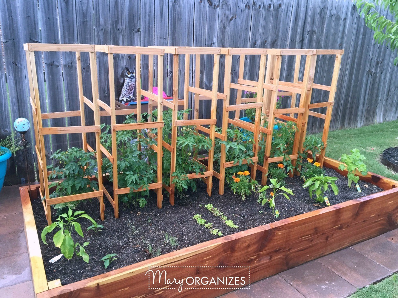 Best ideas about Tomato Cages DIY
. Save or Pin DIY Tomato Cage Tutorial Garden Tips creatingmaryshome Now.