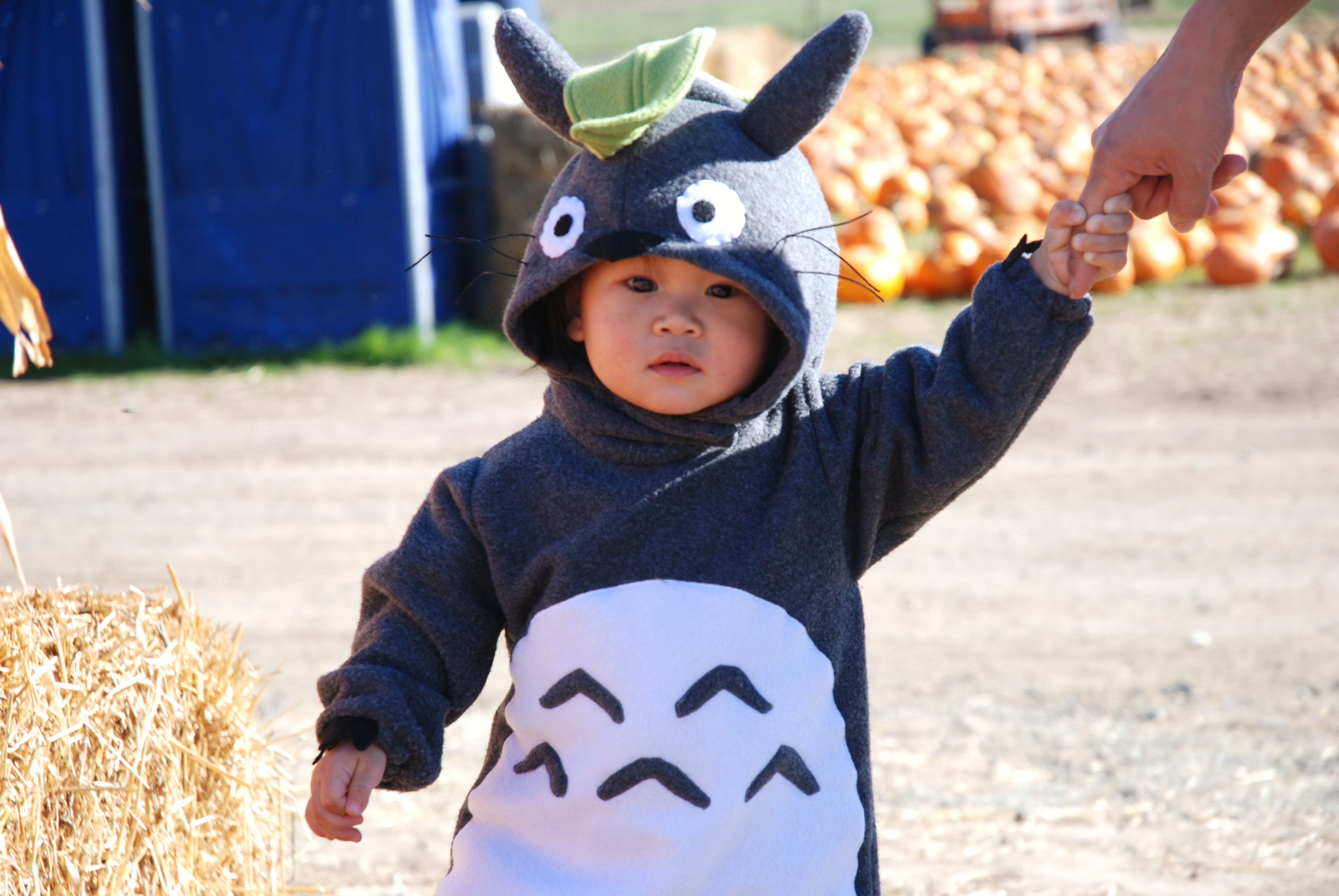 Best ideas about Totoro Costume DIY
. Save or Pin totoro costume Now.