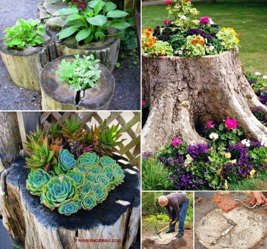 Best ideas about Tree Stump Planter
. Save or Pin How To Make A Broken Clay Pot Fairy Garden Now.