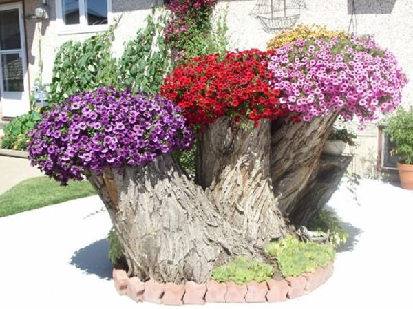 Best ideas about Tree Stump Planter
. Save or Pin 19 Blazing Tree Stump Planter Ideas that ll Impress You Now.