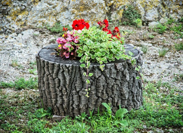 Best ideas about Tree Stump Planter
. Save or Pin How to create amazing DIY tree stump planters in your own Now.