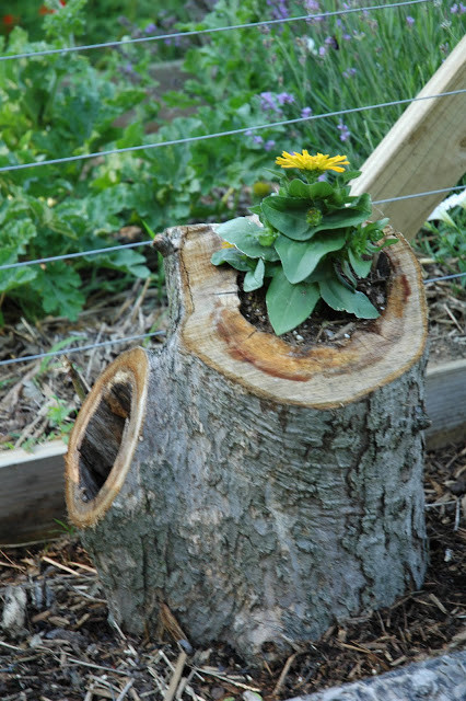 Best ideas about Tree Stump Planter
. Save or Pin 10 DIY Planter Boxes for Gardening Sober Julie Now.