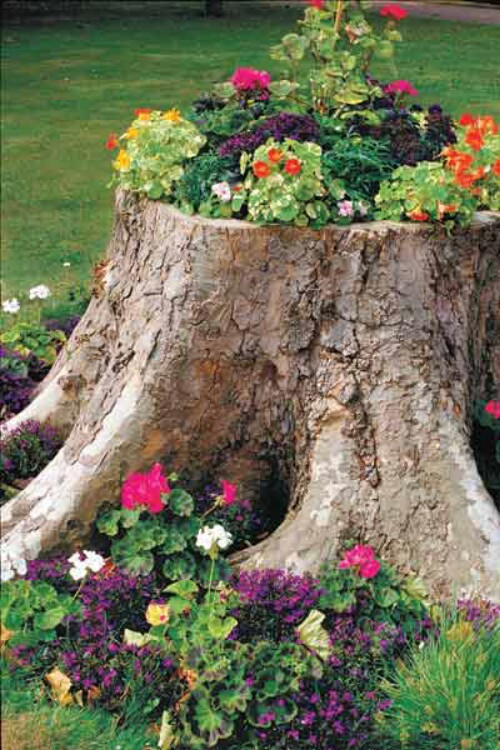Best ideas about Tree Stump Planter
. Save or Pin 20 Amazing Flower Planters and Lawn Ornaments Made Out of Now.