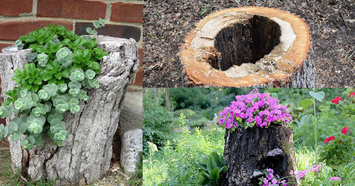 Best ideas about Tree Stump Planter
. Save or Pin How to Make a Tree Stump Planter in 4 Steps Now.