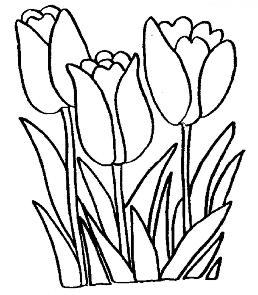 Best ideas about Tulip Coloring Pages
. Save or Pin Free Printable Tulip Coloring Pages For Kids Now.