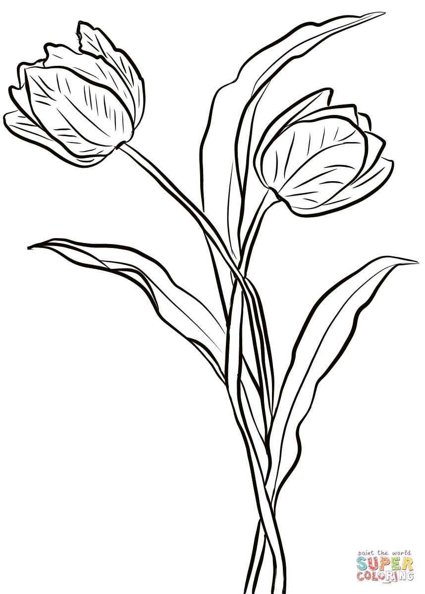 Best ideas about Tulip Coloring Pages
. Save or Pin Two Tulips coloring page Now.