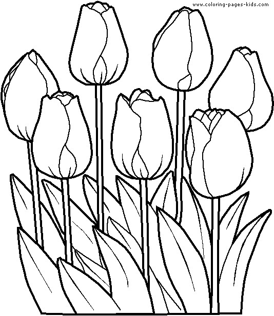 Best ideas about Tulip Coloring Pages
. Save or Pin Coloring Pages for Kids Tulip Coloring Pages for Kids Now.