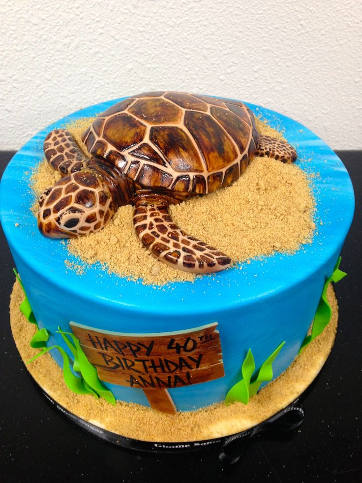 Best ideas about Turtle Birthday Cake
. Save or Pin Best 25 Turtle birthday cakes ideas on Pinterest Now.