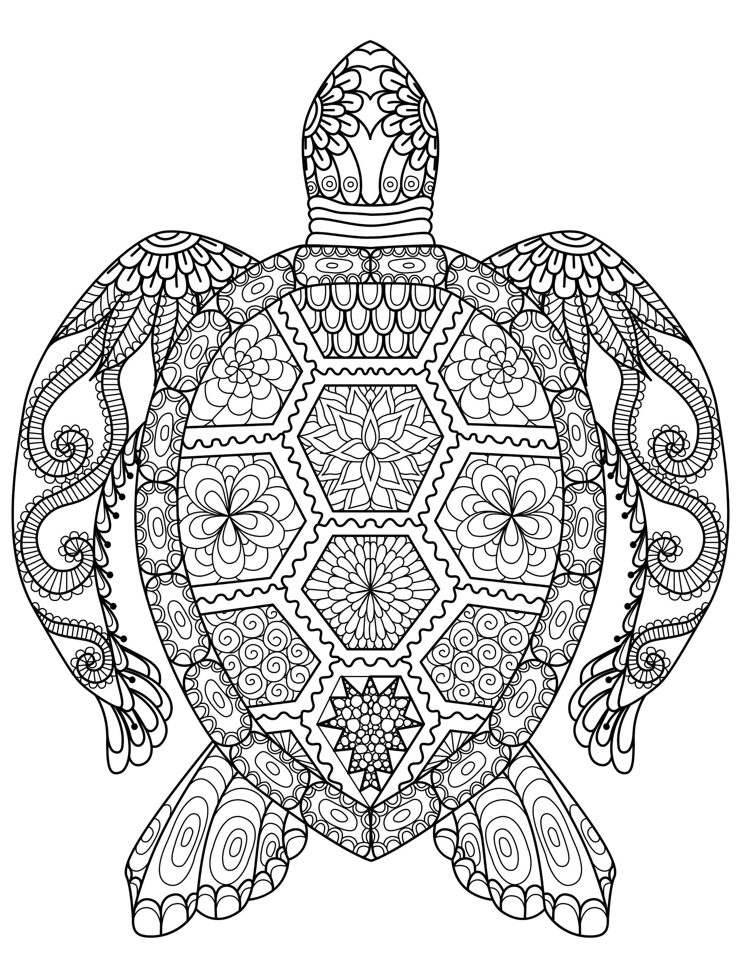 Best ideas about Turtle Coloring Pages For Adults
. Save or Pin 20 Gorgeous Free Printable Adult Coloring Pages Page 3 Now.