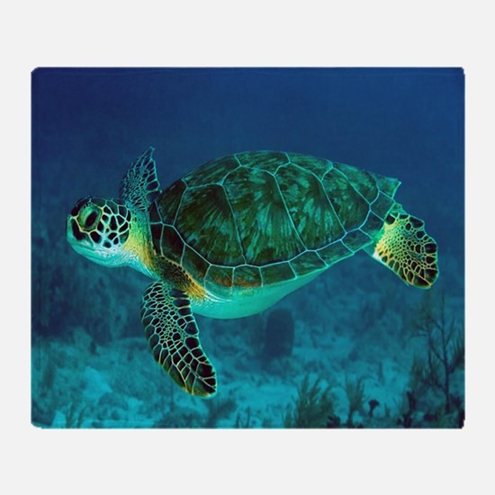 Best ideas about Turtle Gift Ideas
. Save or Pin Turtle Gifts & Merchandise Now.