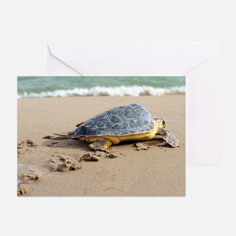 Best ideas about Turtle Gift Ideas
. Save or Pin Loggerhead Sea Turtle Gifts & Merchandise Now.