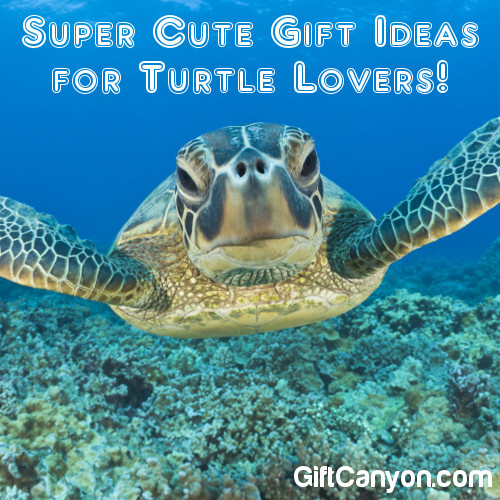 Best ideas about Turtle Gift Ideas
. Save or Pin Super Cute Gift Ideas for Turtle Lovers Gift Canyon Now.