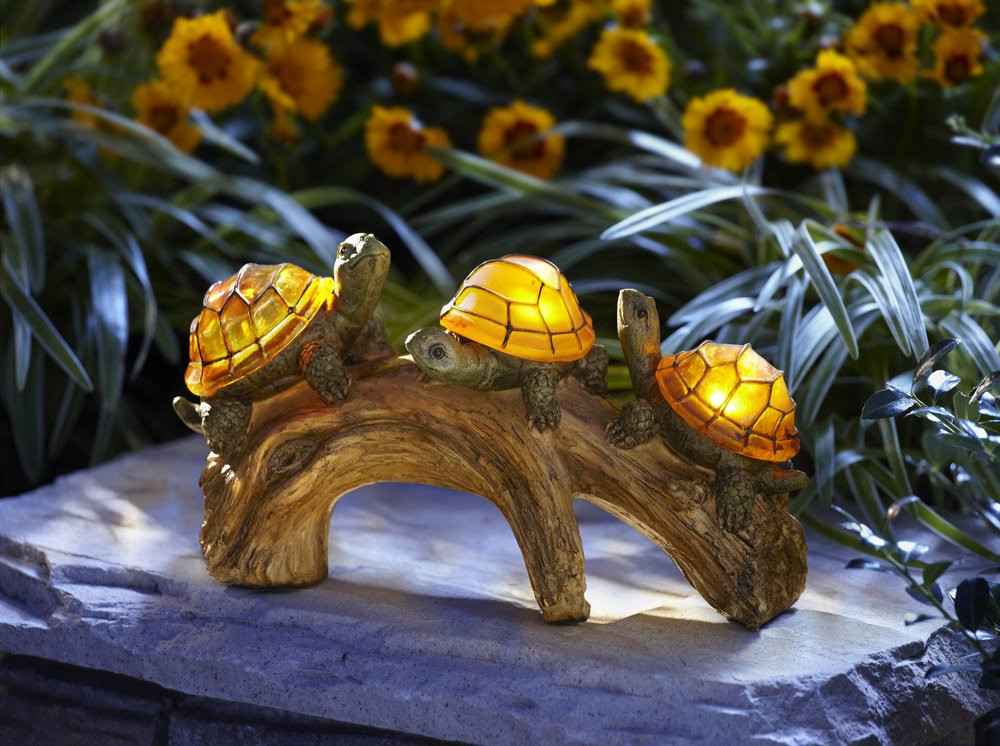 Best ideas about Turtles Gift Ideas
. Save or Pin Super Cute Gift Ideas for Turtle Lovers Gift Canyon Now.