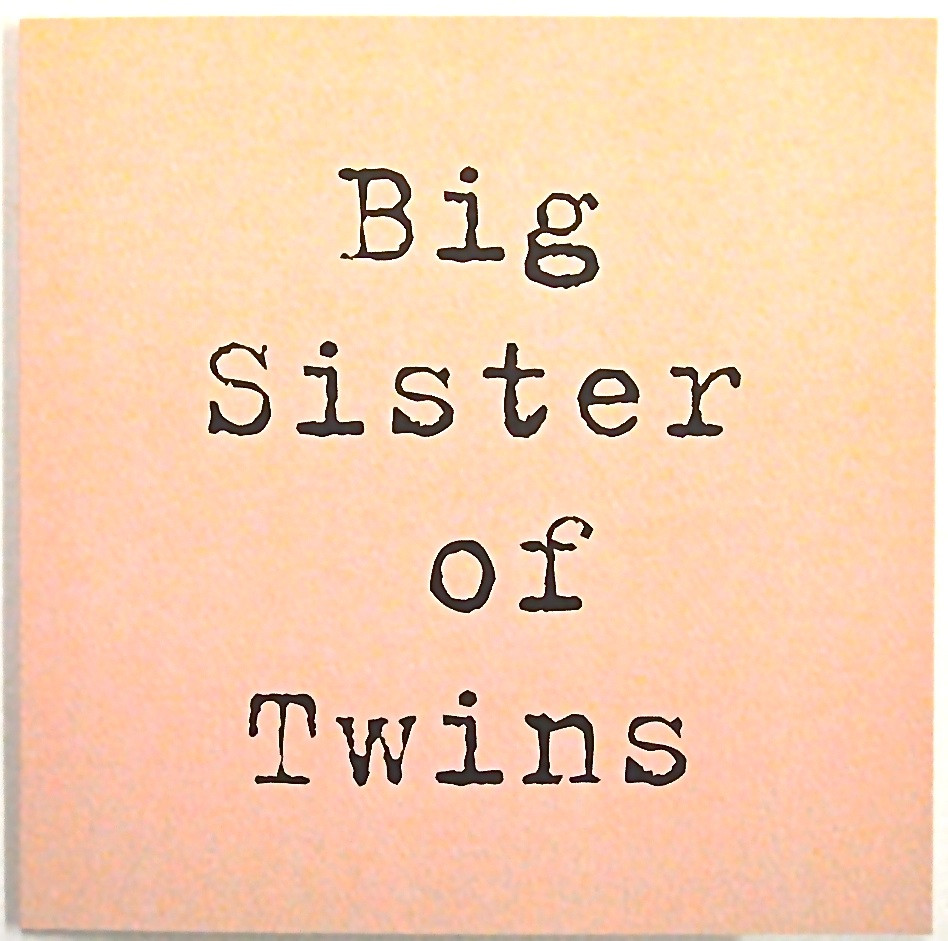 Best ideas about Twin Birthday Quotes
. Save or Pin Birthday Quotes For Twins QuotesGram Now.