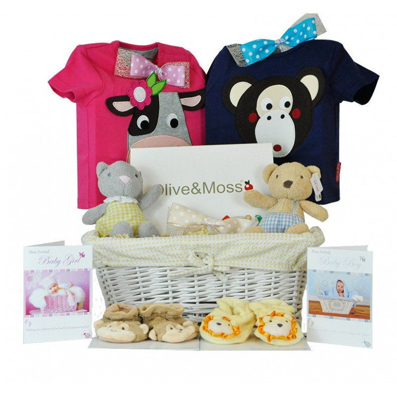 Best ideas about Twin Gift Ideas
. Save or Pin Gift Basket Ideas for Newborn Twins Multiple Birth Twin Now.