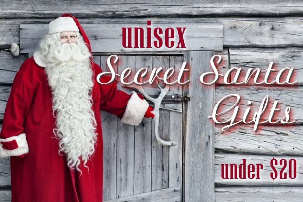 Best ideas about Unisex Gift Exchange Ideas
. Save or Pin Uni Secret Santa Gift Ideas for Under $20 Now.