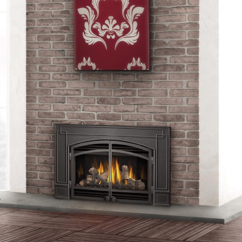 Best ideas about Vented Gas Fireplace Insert
. Save or Pin Napoleon Direct Vent Gas Fireplace Insert with Glass Door Now.