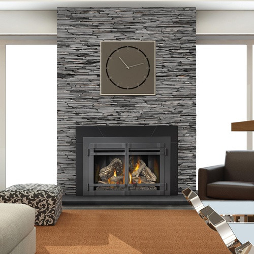 Best ideas about Vented Gas Fireplace Insert
. Save or Pin Napoleon Direct Vent Gas Fireplace Insert with Night Now.