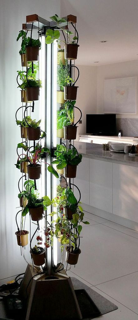 Best ideas about Vertical Garden Indoor
. Save or Pin 25 best ideas about Indoor Vertical Gardens on Pinterest Now.