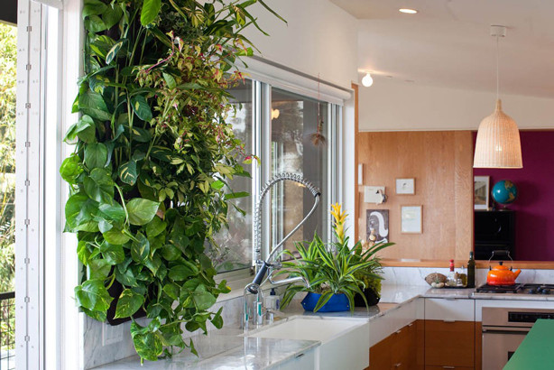 Best ideas about Vertical Garden Indoor
. Save or Pin Five Easy Steps for Creating an Indoor Outdoor Vertical Now.