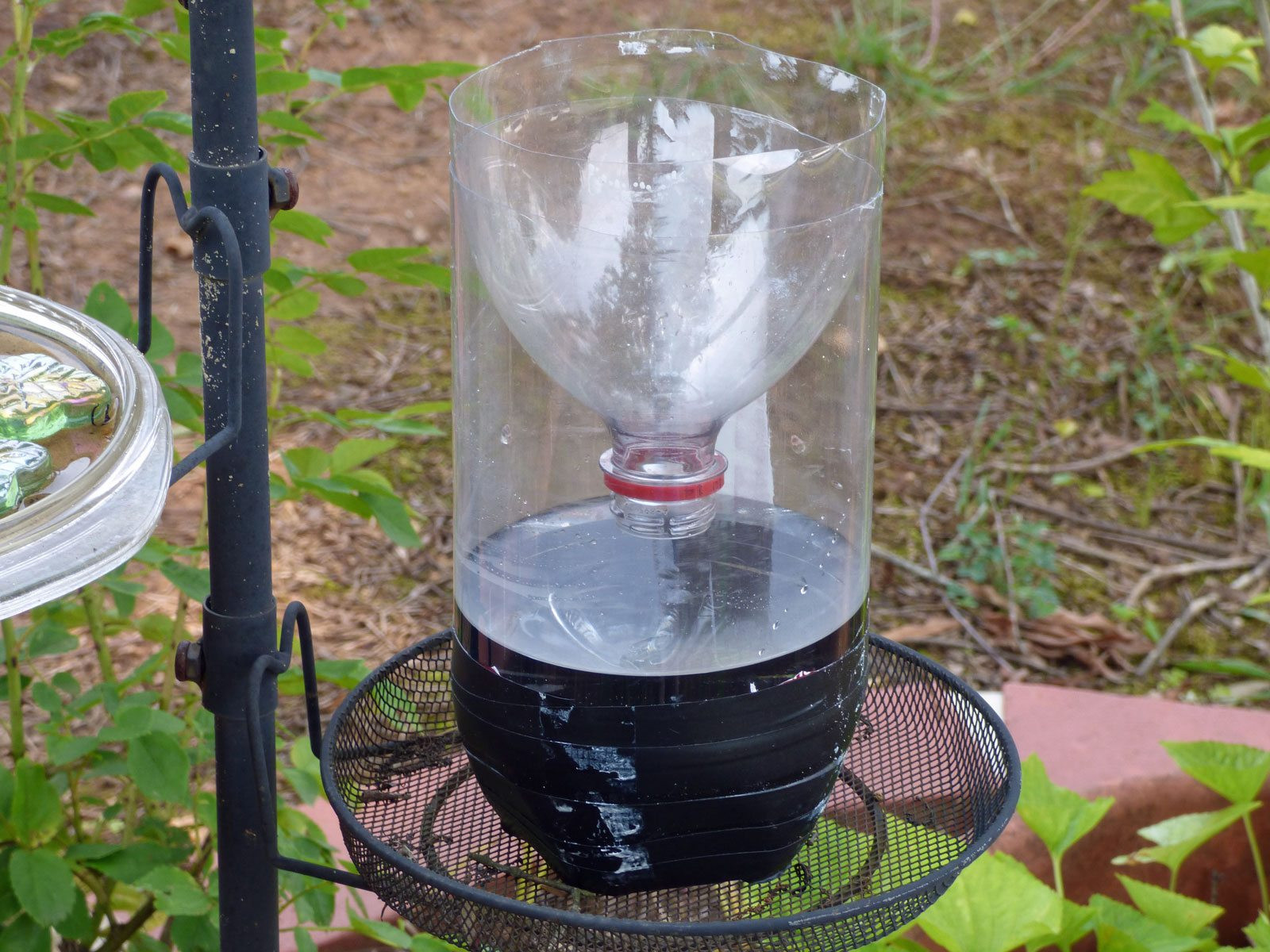 Best ideas about Wasp Trap DIY
. Save or Pin Homemade Wasp Trap Instructions – How To Make A Homemade Now.