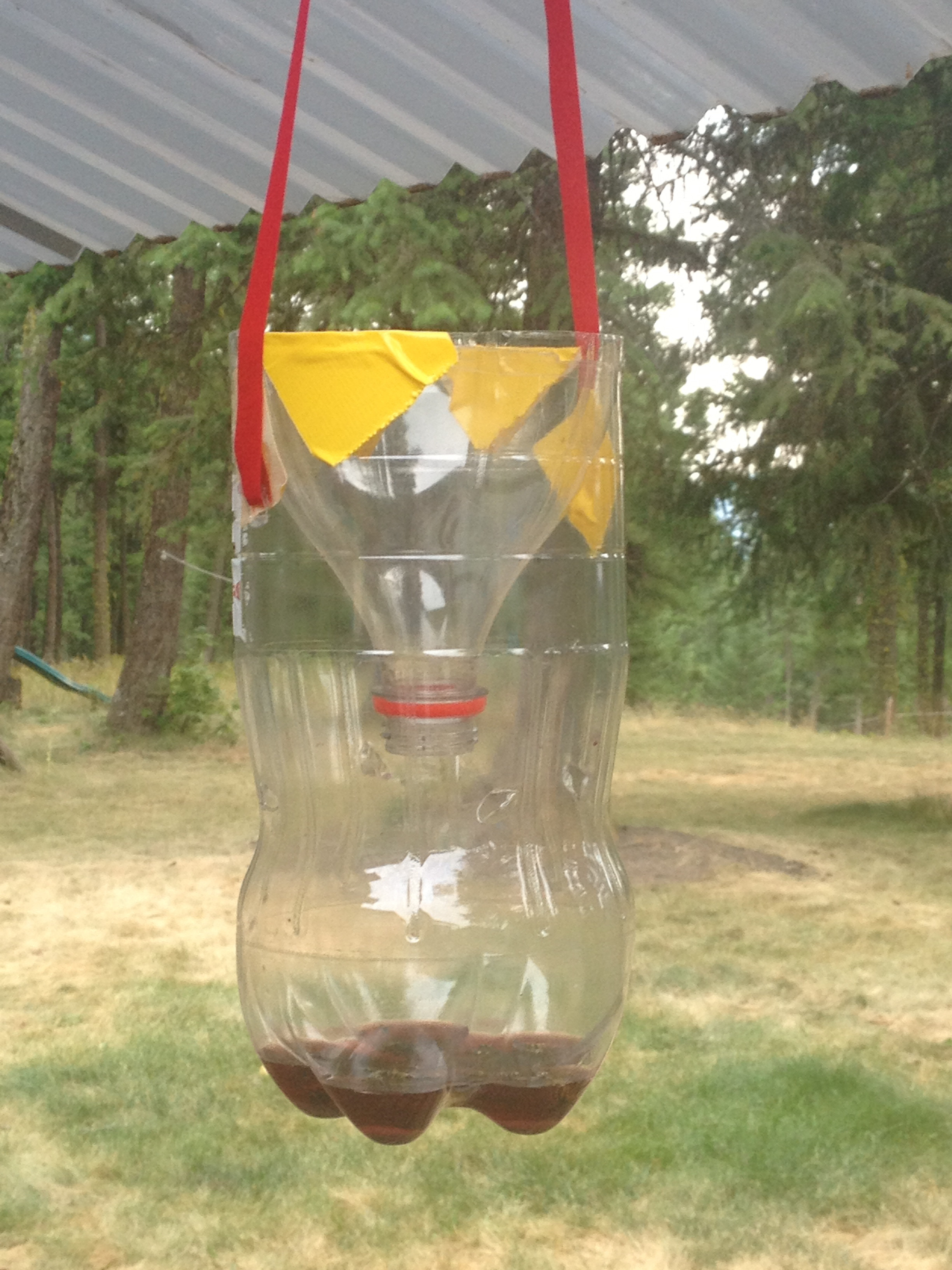 Best ideas about Wasp Trap DIY
. Save or Pin home made wasp traps Now.