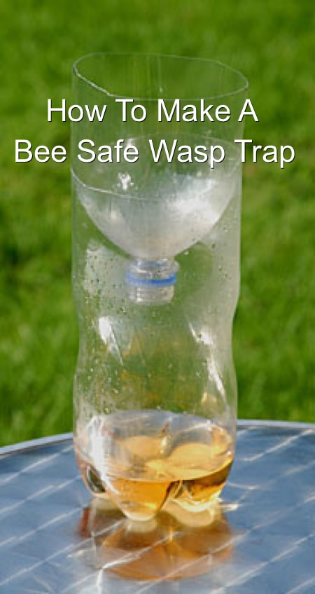 Best ideas about Wasp Trap DIY
. Save or Pin How To Build A Live Animal Trap Now.