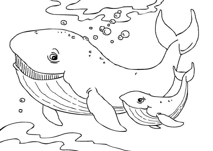 Best ideas about Whale Coloring Book Pages
. Save or Pin Free Printable Whale Coloring Pages For Kids Now.