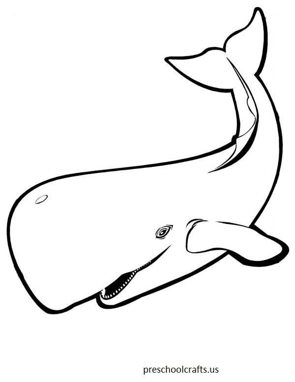 Best ideas about Whale Coloring Book Pages
. Save or Pin Whale Coloring Pages For Preschool Preschool and Now.