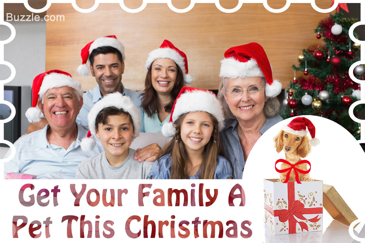 Best ideas about Whole Family Gift Ideas
. Save or Pin 5 Whole Family Christmas Gift Ideas to Spark Smiles All Around Now.
