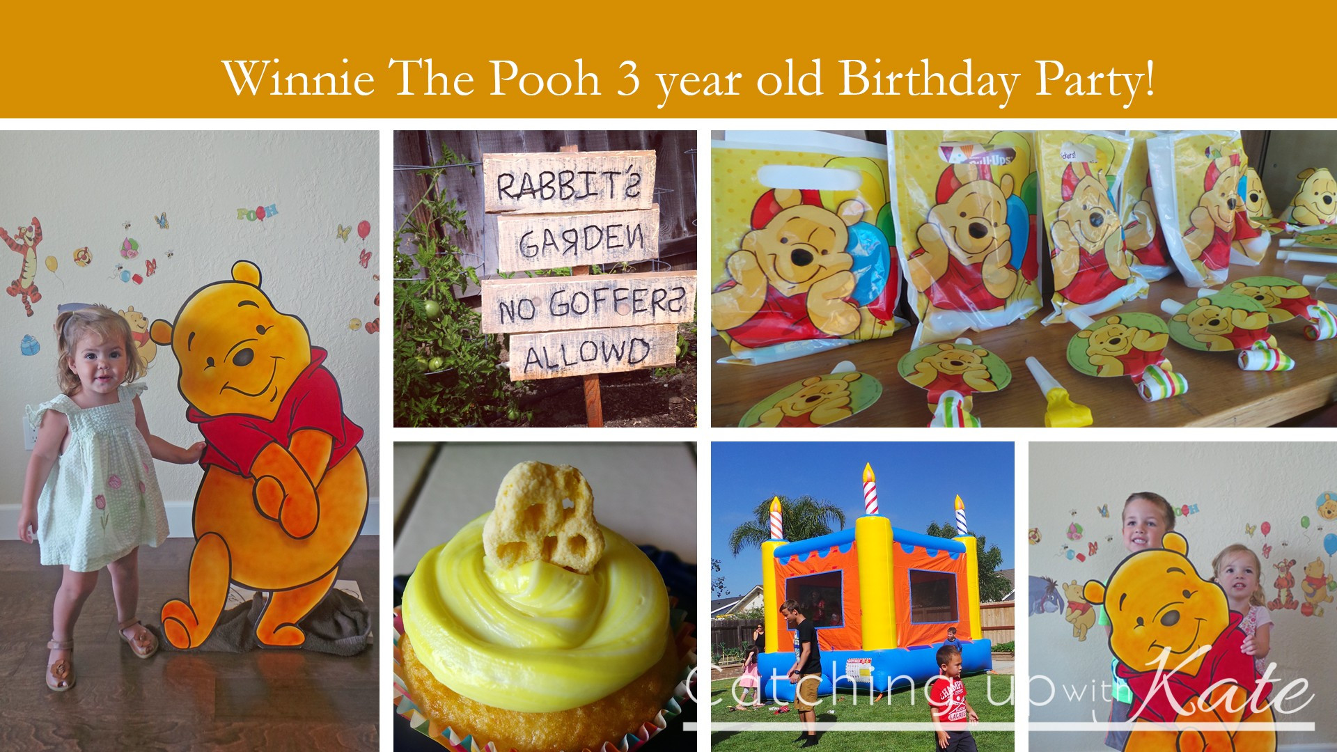 Best ideas about Winnie The Pooh Birthday Decorations
. Save or Pin Winnie the Pooh Birthday Party Now.