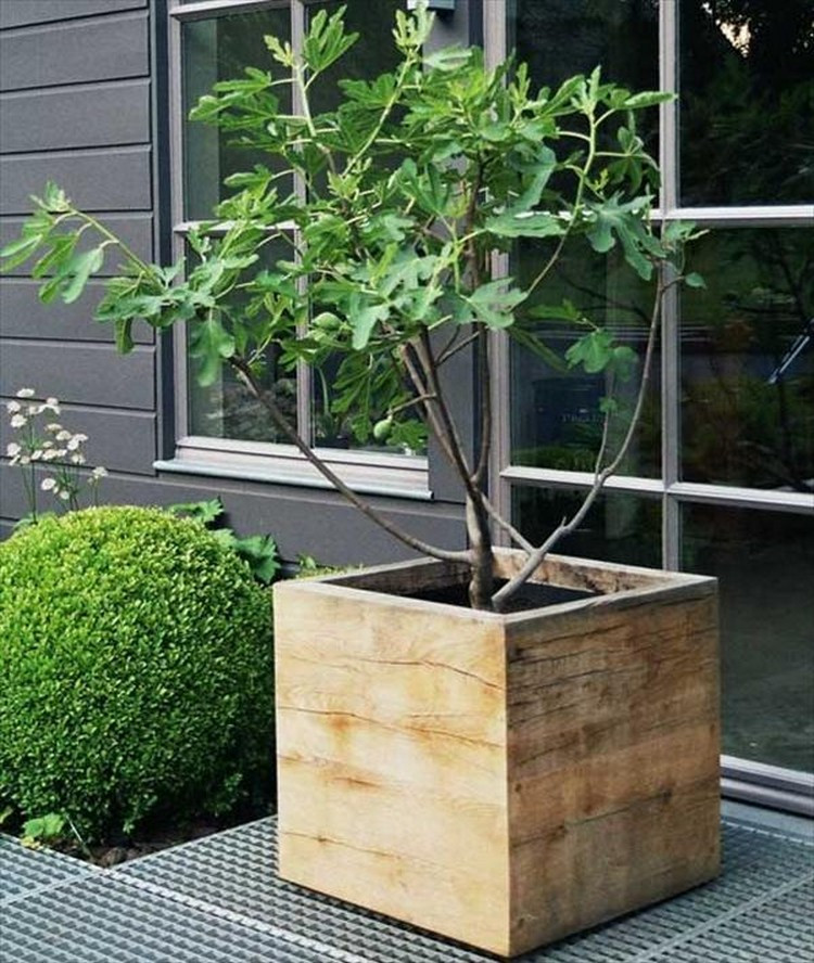 Best ideas about Wood Planter Box DIY
. Save or Pin Planter Boxes Made from Wooden Pallets Now.