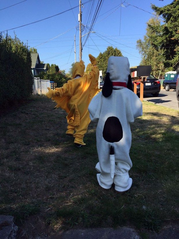 Best ideas about Woodstock Costume DIY
. Save or Pin Best 25 Snoopy costume ideas on Pinterest Now.